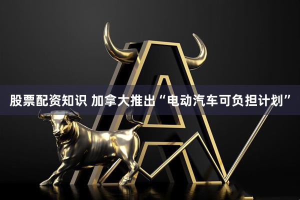 股票配资知识 加拿大推出“电动汽车可负担计划”