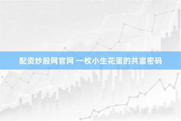 配资炒股网官网 一枚小生花蛋的共富密码